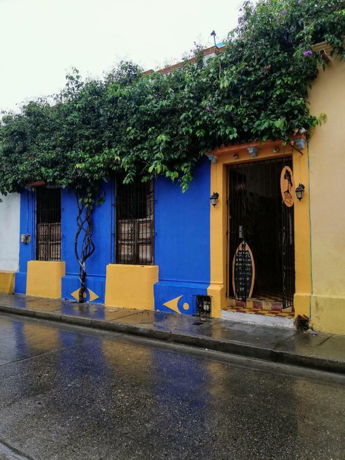 Tree House Hostal