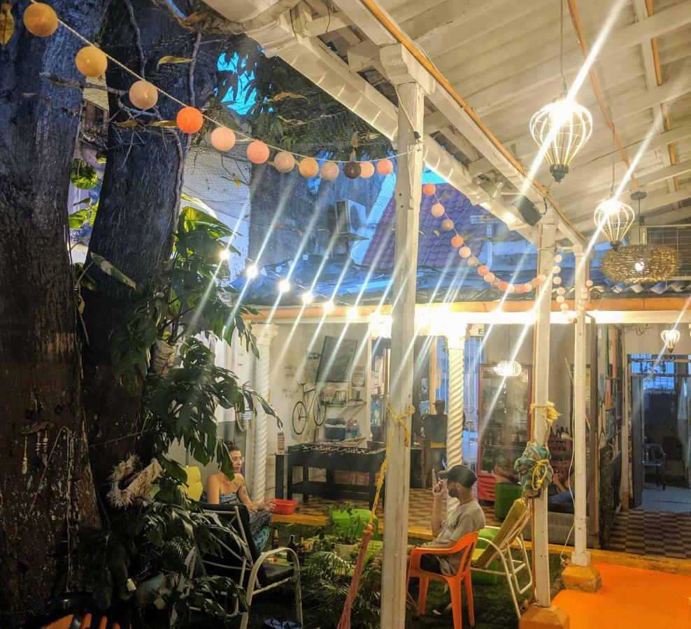 Hostal Tree House